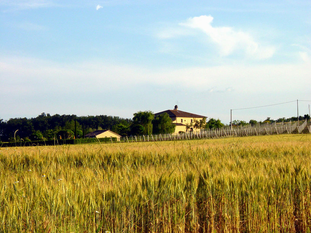 Agriturismo Verbena Castiglione del Lago Buitenkant foto